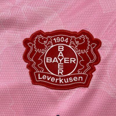 Bayer 04 Leverkusen 2025-26 Away Jersey