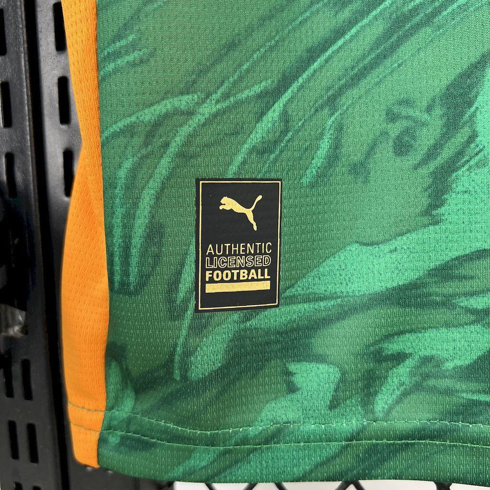 Borussia Dortmund 2024-25 Goalkeeper Green Jersey