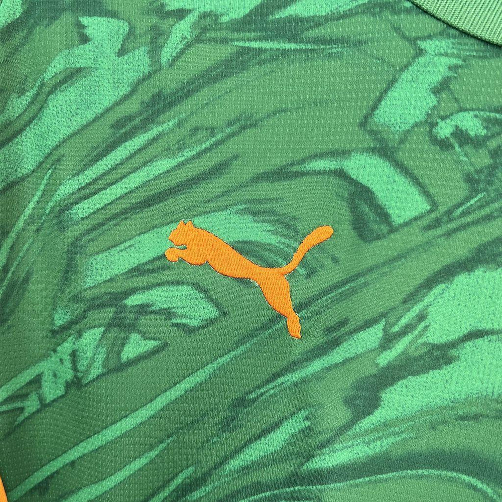 Borussia Dortmund 2024-25 Goalkeeper Green Jersey