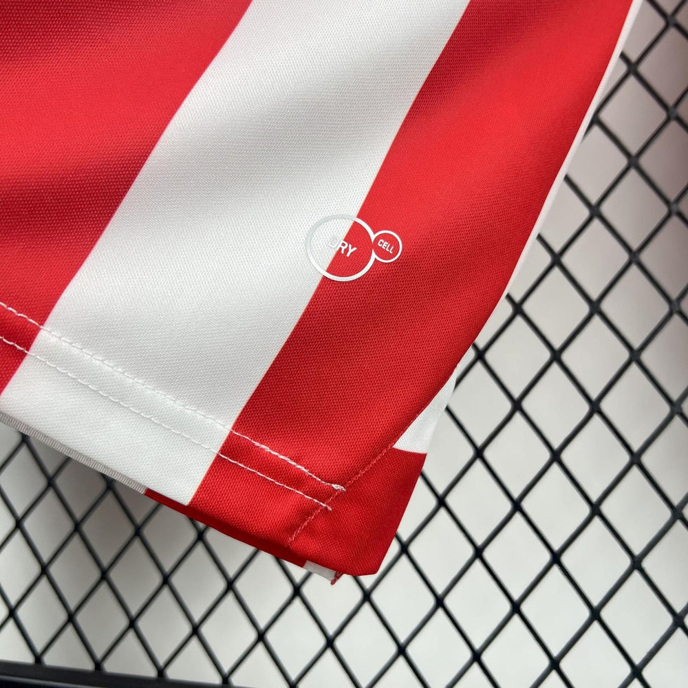 Retro Chivas 2016-17 110th Anniversary Long sleeves Jeresy