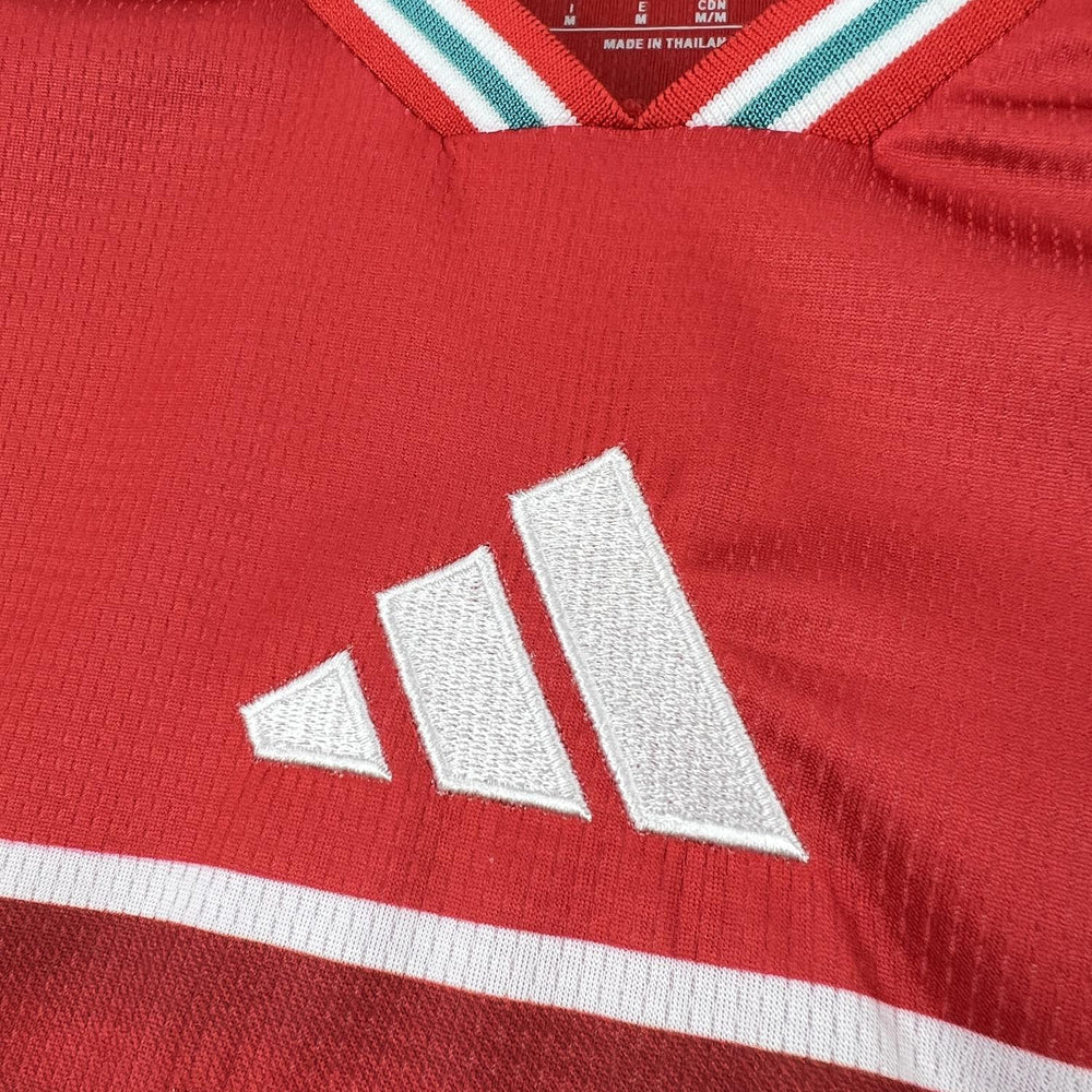 Mens Wales 2026 World Cup Home Jersey