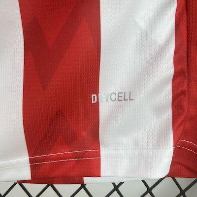 PSV Eindhoven 2025-26 Home Jersey
