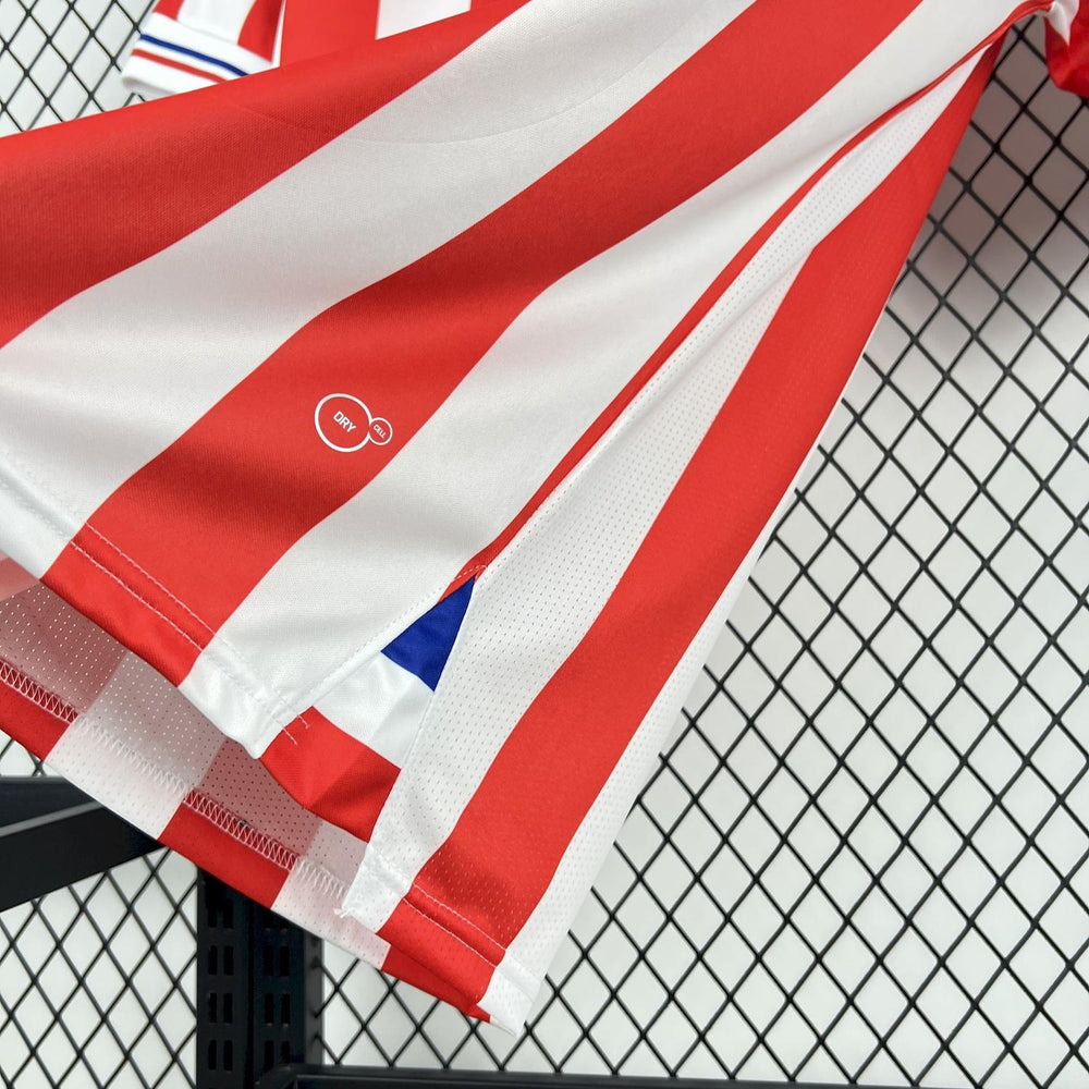 Retro Chivas 2016-17 110th Anniversary Jeresy