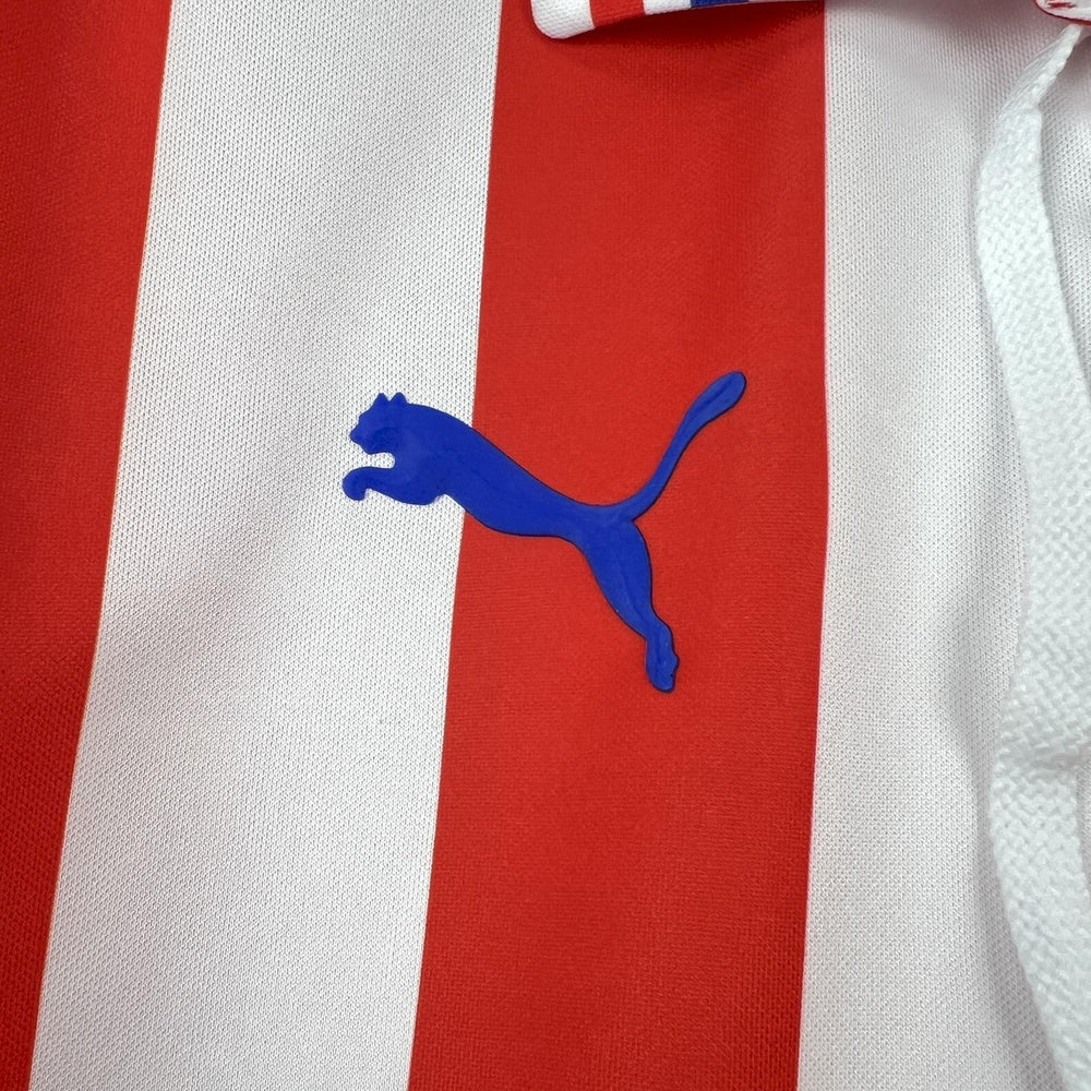 Retro Chivas 2016-17 110th Anniversary Jeresy