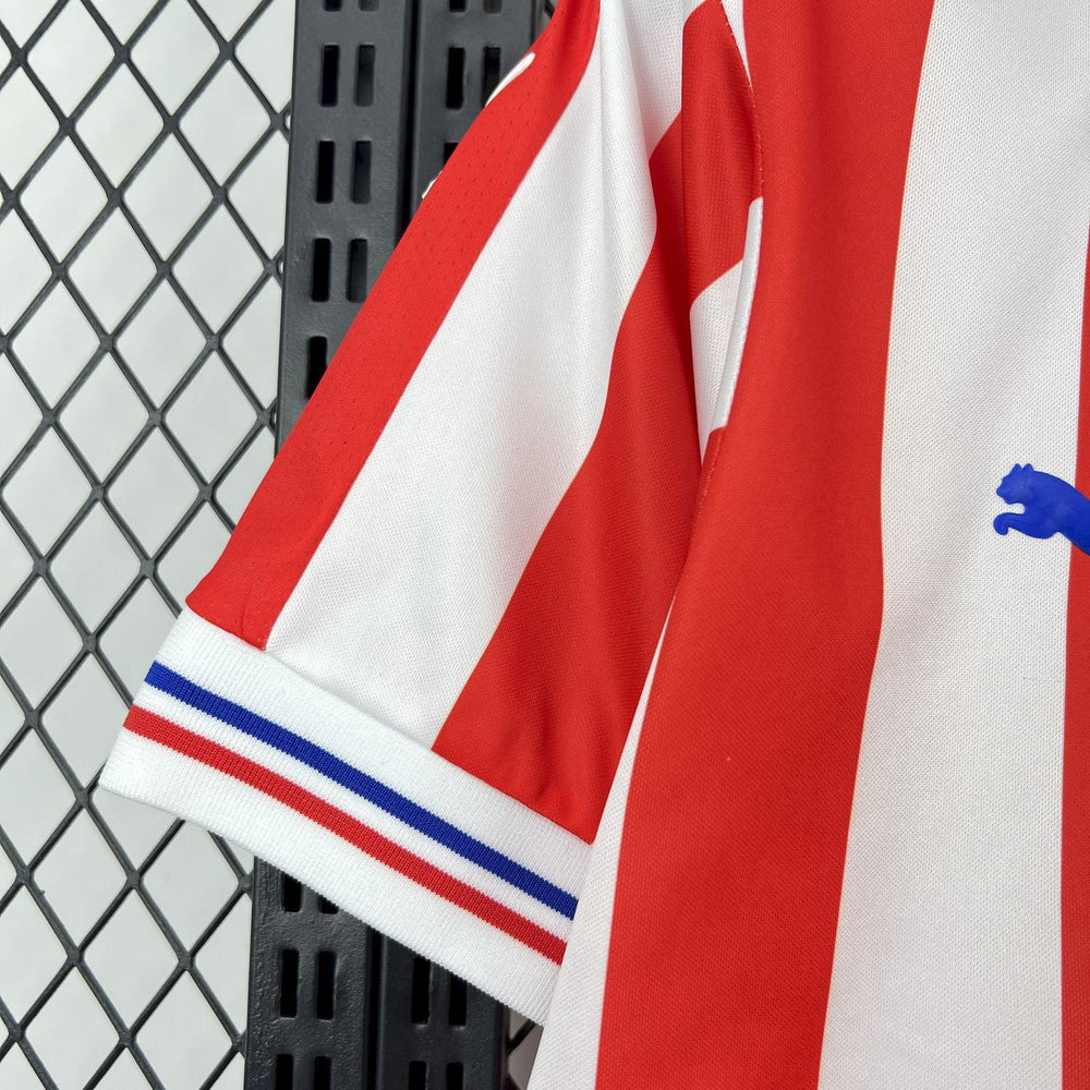 Retro Chivas 2016-17 110th Anniversary Jeresy