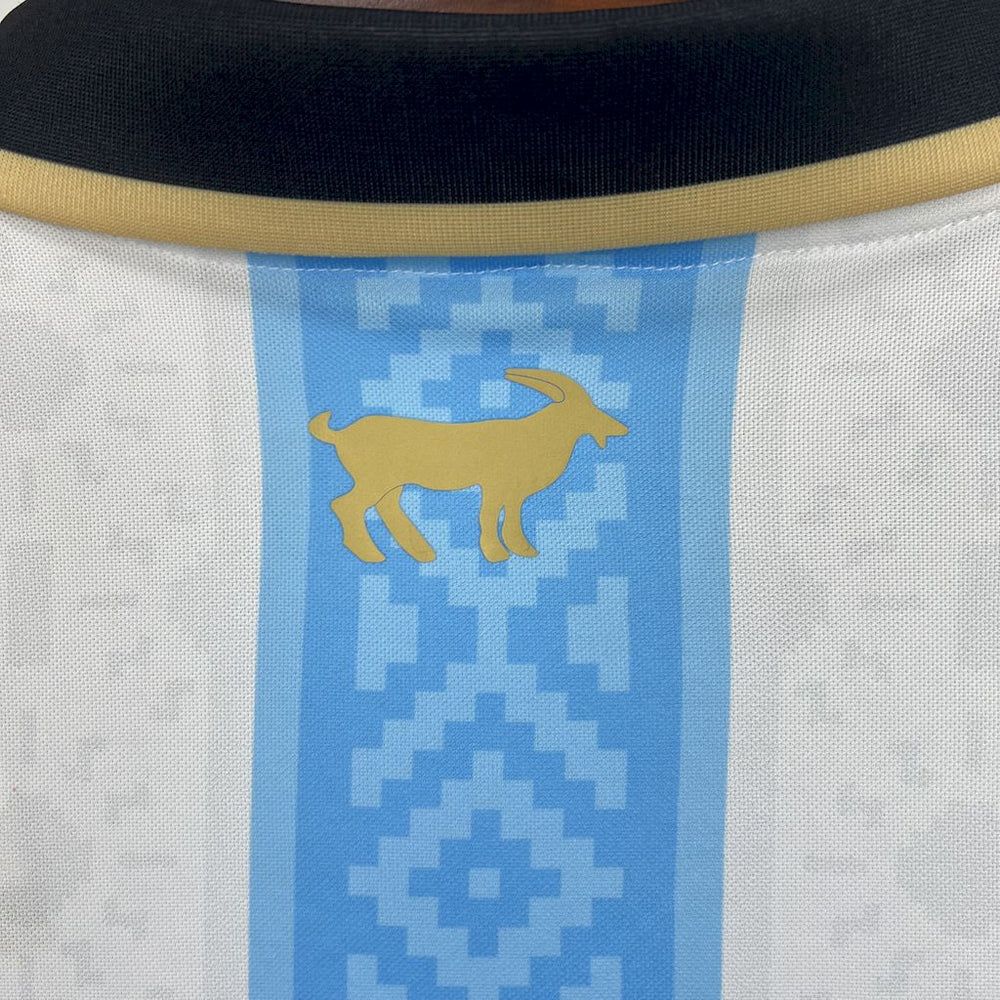Argentina 2024/25 Specialtröja — Herr