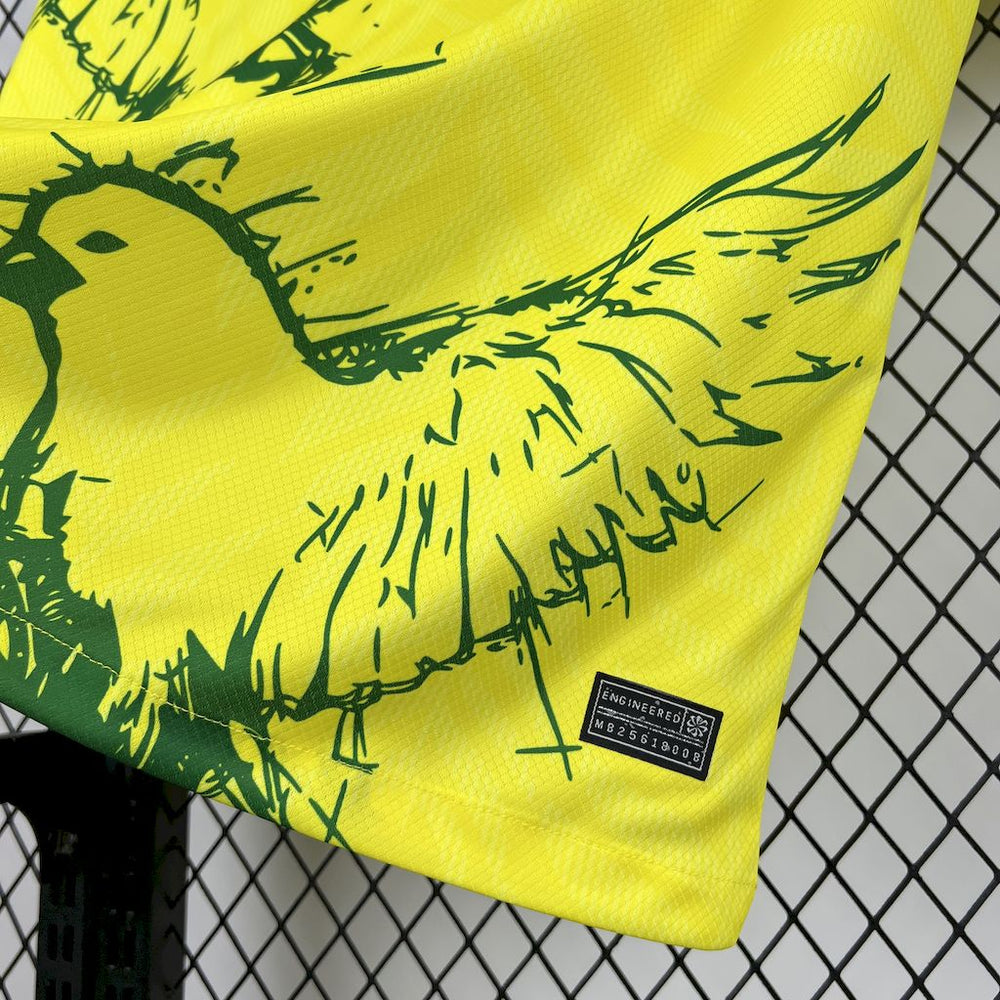 Brasilien 2025/26 Tröja — Herr