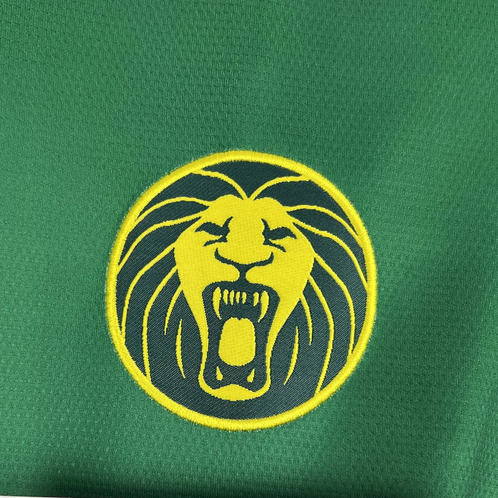 Kamerun 2025/26 Hemmatröja — Herr